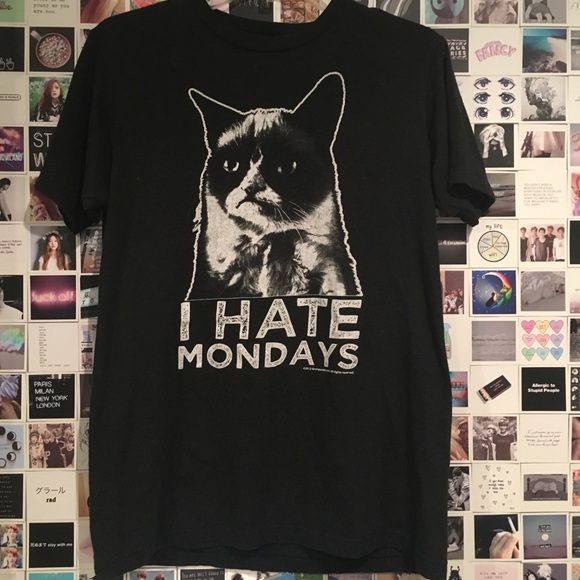 Grumpy cat T-shirt - Picture 1 of 4
